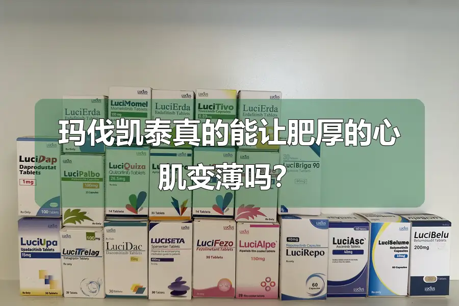 玛伐凯泰真的能让肥厚的心肌变薄吗？